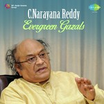 C. Narayana Reddy Songs MP3 Download