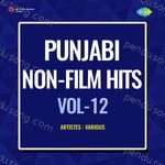Punjabi Non Film Hits Vol 12 Album Download