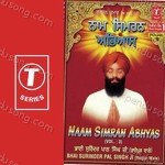 Bhai Surinder Pal Singh-Raipur Wale Songs MP3 Download