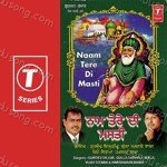 Gulla Sarhale Wala Songs MP3 Download