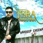 Tera Nakhra - Hardeep Cheema Song Download