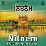 Nitnem Album Download
