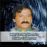 Meri Teri Ankhan Te, Vol. 37 Album Download