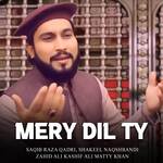 Mery Dil Ty Album Download