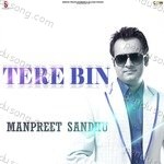 Tere Bin Album Download