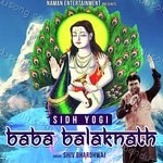 Sidhi Yogi Baba Balak Nath Album Download