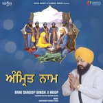 Amrit Naam Album Download