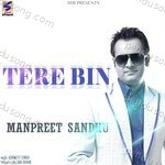 Tere Bin Album Download