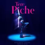 Tere Piche Album Download