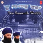Too Samrath Wadda Album Download