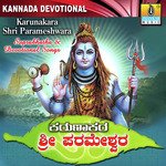 Raj Srinath Songs MP3 Download
