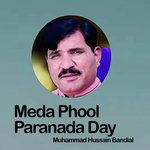 Meda Phool Paranada Day Album Download