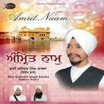Bhai Rajinder Singh Khalsa Songs MP3 Download