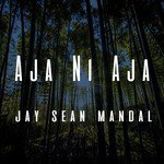Jay Sean Mandal