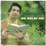 Wasiq Malik Songs MP3 Download