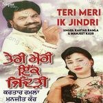 Teri Meri Ik Jindri Album Download