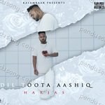 Dil Toota Aashiq Album Download