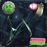 David Heartbreak Songs MP3 Download