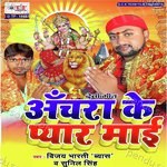 Vijay Bharti Songs MP3 Download