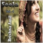 Brishna Amil Songs MP3 Download