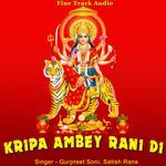 Kripa Ambey Rani Di - Satish Rana Song Download