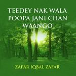 Zafar Iqbal Zafar Songs MP3 Download