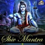 Shreya Manawat Songs MP3 Download