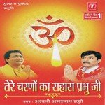 Ashwani Amarnath Songs MP3 Download