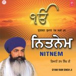 Nit Nem Album Download