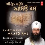 Amrit Baani Ameo Ras Album Download