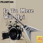 Bhai Niranjan Singh Ji Songs MP3 Download