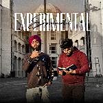 Experimental Album Download