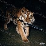 Even God Tried – Sabr