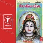 Aasit Desai Songs MP3 Download