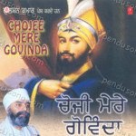 Chojee Mere Govinda Vol 38 Album Download