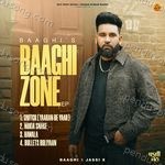 Baaghi Zone Album Download