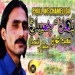Phull We Chameli Da Album Download