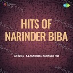 Hits Of Narinder Biba Album Download