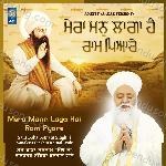 Mera Mann Laga Hai Ram Pyare - Sant Baba Satnam Singh Ji Nanaksar Singhra Karnal Wale Song Download