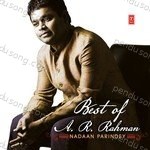 Guest Vocals: Sonu Nigam Songs MP3 Download