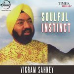 Soulful Instinct Album Download