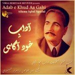 Hina Nasarullah Songs MP3 Download