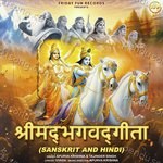 Shrimad Bhagwad Gita (Sanskrit And Hindi) Album Download