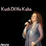 Bushra Ansari Songs MP3 Download