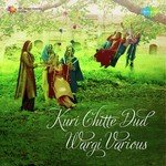 Kuri Chitte Dud Wargi Album Download