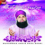 Muhammad Awais Raza Qadri