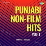 Punjabi Non - Film Hits Vol - 1 - Mohd. Siddiq Song Download
