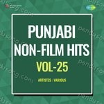 Punjabi Non - Film Hits Vol - 25 - Karamjit Singh Dhuri Song Download