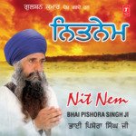Nit Nem Album Download