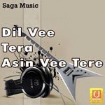 Dil Vee Tera Asin Vee Tere Album Download